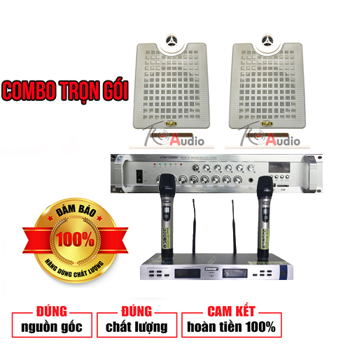 Loa âm thanh phòng họp APU