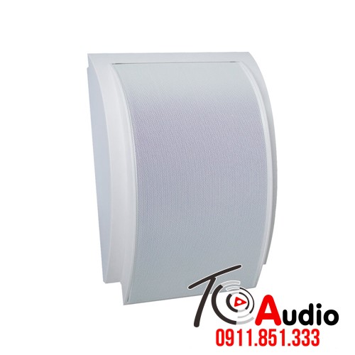 Loa treo tường APlus A-919 công suất 10w