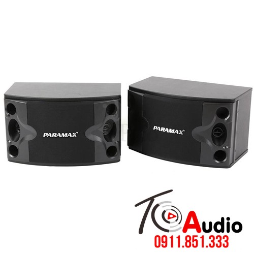 Loa karaoke Paramax P300 phân khúc tầm trung cho gia đình