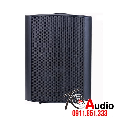 Loa treo tường liền công suất APlus A-676F-A công suất 40w